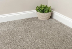 wall to wall carpet