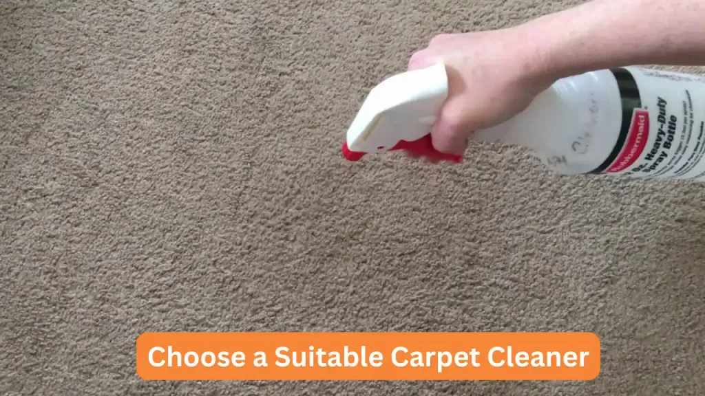 Choose a Suitable Carpet Cleaner